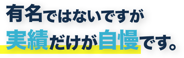 有名ではないですが実績だけが自慢です 有名ではないですが実績だけが自慢です